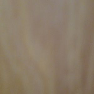 Meet your Posher, Josie